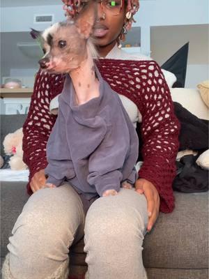 I’m so sad I got the sizing wrong😭💔 #fyp #viral #fypシ゚ #fypp #fypシ゚viral #mexicanhairless #hairlessdog #chihuahua #hairlesschihuahua 