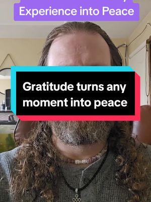 Gratitide Transforms any Moment into Peace #creatorsearchinsights #lawofattraction #mindfulness #followthepeace #manifestation #miracle #thepowerofyou #mindset #feelgoodnow #gratitude 