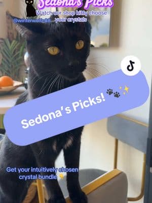 ✨ Sedona ONLY picks for the option “Sedona’s Picks” in the listing! Sedona, our shop kitty, just picked out the perfect crystal bundle for Winterwolfe88! 🐾 These crystals are believed to bring transformation, clarity, and emotional healing. She even added a Selenite Heart with a cat and moon etching for extra magical vibes! 💎💖 #ShopKittyPicks #CrystalBundle #HealingCrystals #SedonaTheShopKitty #HealingVibes #CrystalMagic #AZStoneCo #crystals #crystalcollection #catsoftiktok #CrystalShopping 