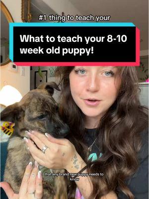 DONT SKIP THIS! “This way” is something I use with Cooper EVERY. SINGLE. DAY! & you will be so happy you taught it to your pup 🐶❤️ leave any Q’s in the comments ⬇️ #howtotrainyourpuppy #dogsoftiktok #8weekoldpuppy #newpuppycheck #newpuppyparents