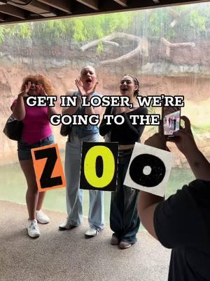 The limit does not exist when it comes to animal fun facts 🐯🐘🦍🐼 Today, the cast of @Mean Girls Musical ( now playing at @tutshouston ✨ ) got a VIP tour of the @Houston Zoo and obviously met some of the fiercest predators on the planet #ApexVibesOnly 🦁🦓 The Plastics came face to face with lions, amur leopards, river otters, bald eagles, and sharks — because obviously, we only hang with the top of the food chain. 💅🏼 Check out these fetch animal facts and visit these ferocious friends at the Houston Zoo.  And don’t forget to snag your tickets to MEAN GIRLS before it closes on February 8. It’s totally going to be so fetch. #tutshouston #houstonzoo #thingstodoinhouston #sofetch 