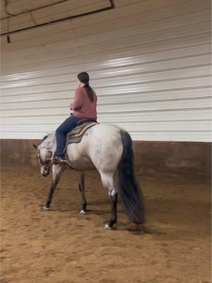 Some trail today with alley cat 😍 this one is available! #aqha#salehorse#horseforsale#trail#fypシ#westernpleasure#roanhorse#maresoftiktok#equestrian 