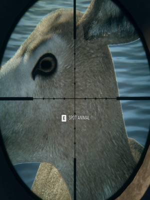 Little Doe... Im Not Sorry... Call of the wild #thehunter #thehuntercallofthewild #thehuntercotw #callofthewild #cotwclips #cotw #cotwcontent #huntercotw #huntinggame #callofthewildclips #callofthewildcontent #fyp #videogames