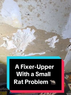 The Rats Have Spoken: This House is a Must-Buy! 🐀✨” Look, I don’t even like being on roofs, but I’m so bundled up that if I fall, I’ll probably just bounce. But let’s talk about the real problem—why am I even up here? The roof is mostly tarps. What’s under them? A hole? A vortex? A portal to another dimension? Who knows. But clearly, we got issues. When I set my ladder up and immediately hear scurrying—because what’s a good inspection without a few uninvited guests? Turns out, this house isn’t just a fixer-upper—it’s a certified rat resort. Chewed-up walls, missing doors, mystery escape attempts… these rats have been working overtime remodeling this place. And judging by the rat turds everywhere, they love it here. So yeah, a little TLC and this place could be great! 🐀🏚️ #HomeInspection #RatInfestation #HouseFail #duesouthbrad #HomeInspector #FixerUpper