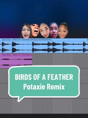 #birdsofafeather #billieeilish #cupcakke #jiafei #dejeelbullyingremix #ponmi #shenseea #wanpatan #potaxies🥑👄🥑 #audiospotaxies #potaxiesdecorazon🥑👄🥑 #floptropica #fyp #fy