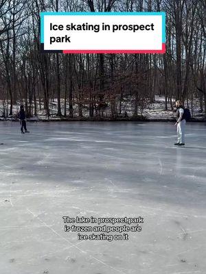 Definitely a core moment 😭 #IceSkating#frozenlake#prospectpark#frozenlakeskating 