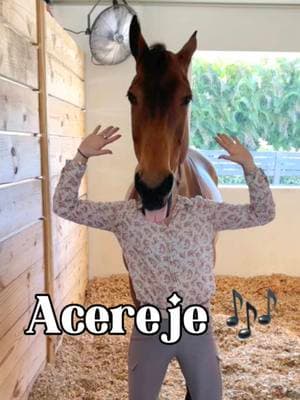 Rocky baila el Acerejé! 🎶 🎥: @Courtneybanks  #horsedance #horses #horsedancing #barn #horsehumor #equestrian #equestrianlife #caballo #equestrianstyle #funnyhorse #wellington #wef