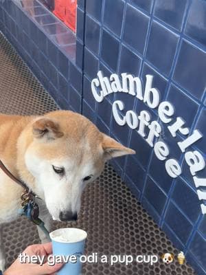 come to chamberlain coffee cafe with me! 🩵✨🫧🫶🏼  i got the iced PB mocha & it was soooo good 🙂‍↔️🫧 & the workers were so nice 💙🩵💙 #chamberlaincoffee #chamberlaincoffeereview #chamberlaincoffeecafe #losangeles #centurycitymall 