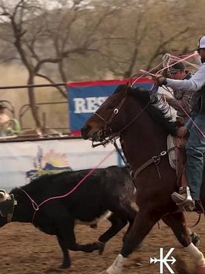 **pulls out fishing license 🎣  ##karrowproductions##teamroping##heelshotsoftiktok##fishinicense##fishing##arizonateamroping##equinevideo