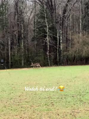 Had to call him off! He was ready to let er rip tater chip! #superdood #idontwantabiggerbuck #countryboy #hornsbyboys #whitetail #deer #bryanlane