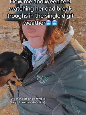 For the record we switch off breaking troughs🤷🏼‍♀️😂 #idaho #cows #overwinter #wintersucks #ranchlife #fyp #foryoupage 