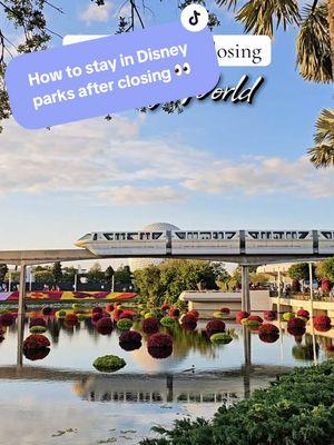 How to stay in Disney World after park closing. How to get more hours in Disney. #disneyworldsnacks #disneysnacks #disneytreats #daisneyhacksguide  #disneyhacksandtips #disneytipsandtricks #disneyonabudget #multipass #ropedropdisney 