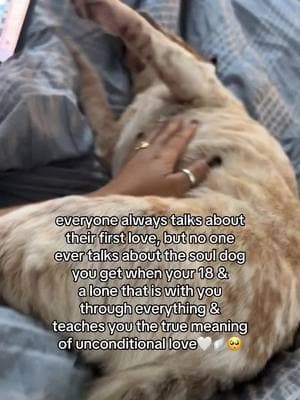 You taught me what love is 🤍 you taught me that no matter where we slept you would be right next to me🤍 you taught me when I was crying you would be there licking mommy’s tears away🤍WISHING YOU WERE STILL HERE I HAVE SO MANY TEARS 🤍🪽😭😭😭 #ROXANNESFIGHT💞 #mansbestfriend #builtinbestfriend #takenfromme #bestdogever #bestfriend #fyp #tiktok #fy #dogsoftiktok #dogcancer #chinesesharpei #bestdogever #imissyou #loveyou #creatorsearchinsights #heaven #heavenofficialsblessing #myangel 