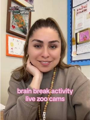 ily @San Diego Zoo #brainbreak #zooanimals #teacherhack #teacherhacks #teachertiktok #teacherfyp 