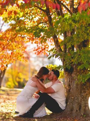 fall engagement shoots have my heart🫶🏼🍁 #fallengagementphotos #autumn #engagement #engagementphotos #engagementphotoshoot #fallengagementsession #engagementsession #ctphotographer #newenglandfall #newenglandphotographer #eastcoastphotographer #ctphotography 📸 with @Scott Kruitbosch 