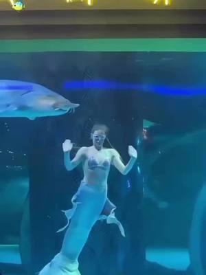 A mermaid performance took an unexpected turn when a massive sturgeon attempted to swallow the woman’s head—only to realize it had bitten off more than it could handle! Sturgeons use powerful suction to capture prey, usually targeting small fish and crustaceans. But with their poor eyesight, mistakes happen… and this one definitely aimed too high! #EvergladesHolidayPark #FloridaWildlife #WildEncounters #NatureIsWild #Sturgeon