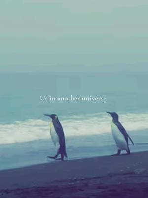 Weathering the storm together ♥️ #penguins #mypenguin #mypenguin #penguin #soulmates #anotheruniverse #inanotherlife #inanotheruniverse #youfeellikehome #weatheringthestorm #togetherforever #foreverandalways #mate #lovestory #myheartandsoul 