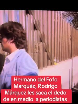 #fofomarquez🤡 #mexico🇲🇽 #periodistas