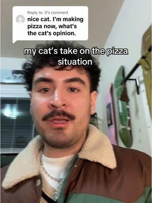 Replying to @:3 here’s word from ding dang on the pizza situation #whitecat #tiktokdrama #whitecatsoftiktok #catsoftheday #matchamix #pizzatime #pizzatime 