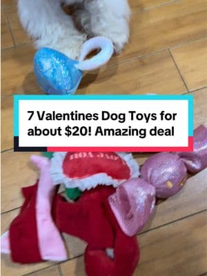 SEVEN quality dog toys for your favorite four legged Valentine!! Holy moly this is a great deal! Do not miss this deal bc it will sell out! #creatorsearchinsights #TikTokShop #tiktokshoppets #dogtoys #tiktokshopjumpstart #dogsoftiktok #ValentinesDay #valentinesdaygift #pettoys #putaringonit 