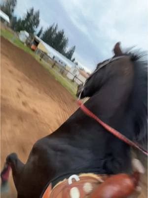 i think i need to whip out the ol selfie stick & do this again   - #creatorsearchinsights #horsingaround #horsetok 