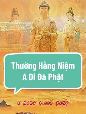 Phật nói vào thời kỳ mạt kiếp có 1 pháp môn dễ tu nhất do là niệm phật ✨❤️‍🩹🙏 #adidaphat #tichphuccaimenh #cuộcsống #phậttạitâm #followers➕ #tu #tâmtrạng #buddhism #phật 