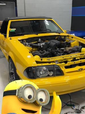 Funny Friday with 1000 HP Banana powered Minion #mainlinedyno #hubdyno #tuning #mretuned #bigstufffuelinjection #wirelesstuning #racing #enginebuilder #dynotune #moranmotorsports #dynorental  #roadrace #banana #minion #funnyfriday #ford #fordpower #mustang #1000hp 