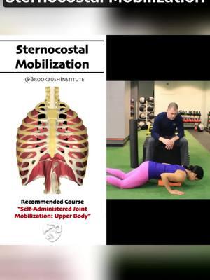 🔴 Sternocostal Mobilization Video clip from the online course "Joint Mobilizations: Upper Body (Self-administered)": The course counts for 2 credits toward the Brookbush Institute certifications and is pre-approved continuing education. Watch the full video and take the course! Go to our profile 👉 @BrookbushInstitute Click on linkin.bio/brookbushinstitute Choose this image 🔵 Brookbush Institute offers: • Certified Personal Trainer (CPT) Certification • Human Movement Specialist (HMS) Certification • Integrated Manual Therapist (IMT) Certification • 180+ CEC-approved courses • Courses on desktop or mobile • 500+ videos & 500+ articles • New features and content added weekly! 🔴 Completing courses and certifications has never been easier, and the quality of courses has never been higher! #integratedmanualtherapist #effectivetreatment #physio #physicaltherapist #physiotherapist #manualtherapy #integratedmanualtherapy #IASTM #athletictrainer #chiropractic #LMT #massagetherapy