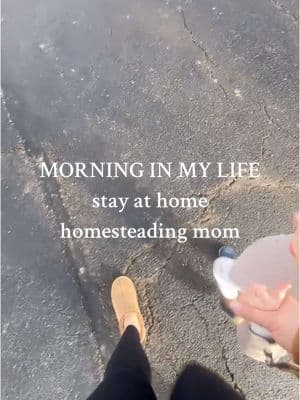 #sahm #ditl #homesteadingmom #tsc #ohiomom @TractorSupply @onelinecoffee 