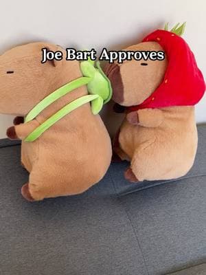 its 30% off rn!! these capybara plushies are seriously so cute and are such a great gift for your girlfriend or boyfriend!! #capybara #plushies #plushie #stuffedanimals #girlfriend #boyfriend #giftide 