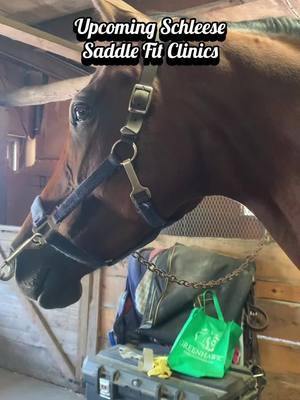 Make sure to send in your registration for Schleese’s March 2025 saddle fit clinics! 🗓️  #schleese #saddlefit #register #clinic #equestrian #horses #ride #education 