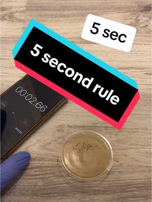 Replying to @alwayssimply1024 Is there any truth to the 5 second rule? #science #germ #sciencebiatch #gross #nasty #howdirtyis #dirty #interesting #bacteria #sciencetok #cool #fyp #clean #foryou #micro #curious #サイエンス #科学　#実験　#バクテリア #funfact #facts #fact #germs #interestingfact #interestingfacts #amazingfact #amazingfacts #amazing #randomfacts #randomfact #randomfactsforyou #factstime #dailyfact #funfacts #factoftheday #funfactoftheday  #bio #biology #biomed #lab #labwork #CleanTok#laboratorio #biologia #microbiologia #scitok #ScienceTok #scienceismagic #scienceiscool #sciencefair #foreigngerms #germsquad #mygerms #viral #bacterial #bacterialcontamination #petriedish #実験 #面白い #面白い動画 #viral #viralvideo #viraltiktok #trending w#trendingvideo #trendingtiktok #세균 #stem #stem #stemfeed #STEMfeed  #longervideos  #과학 #과학실험 #실험 #박테리아 #웃긴영상 #재미있는영상#scienceexperiment #scienceexperiments #experiment #learnontiktoktogether 