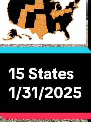 There are now 15 states that have filled for Bitcoin strategic reserves. This is your daily crypto news and analysis for 1/31/2025 #crypto #bitcoin #btc #charts #ta #news #yaboyskey #fyp #foryou #foryoupage 