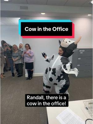 Just a typical day in the Lancaster Farming office! #farm #agriculture #farmtok #agnews #newspaper #newsroom #officelife #officehumor #cow #cows #cowcostume #dayinthelife 