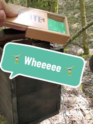 🥳 A little whimsy to start your geocaching weekend 🥳 #geocaching #geocache #GeoTok #foryou #fyp