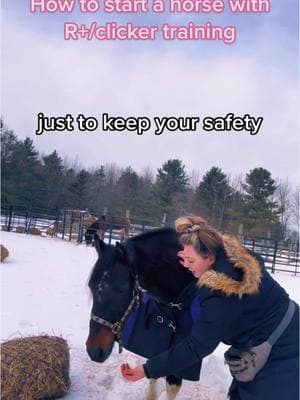 #onthisday Lady May now has an amazing home with her Mustang friend, well versed in positive reinforcement! I love successful home placements 💓 #horsetok #horsesoftiktok #equinesanctuary #positivereinforcementhorsetraining #clickertraininghorses 