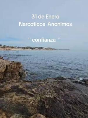 #soloporhoy #Narcoticosanonimos #dellibrosoloporhoy #literaturadena #na #gruposdena #Dios #recuperacion #podersuperior #confianza 