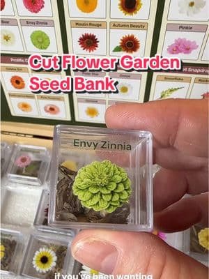 🌼 Transform your garden into a vibrant paradise with Lush & Dew’s Cut Flower Garden! 🌻 This complete seed bank features 32 organic, non-GMO flower seed varieties, including stunning sunflowers, cheerful zinnias, delicate cosmos, and more. 🌸 With our easy-to-follow seed growing guide, you'll cultivate beautiful blooms right in your backyard. Plus, enjoy the convenience of 32 acrylic reusable cubes and a lovely flower card to keep your garden organized. 🌿 Start your gardening journey today and bring the beauty of homegrown flowers to life! 🌺 #LushAndDew #CutFlowerGarden #OrganicSeeds #NonGMO #FlowerGardening #FlowerSeeds #Sunflowers #Zinnias #Cosmos #Snapdragons  #GrowYourOwn #SeedBank #FlowerPower 