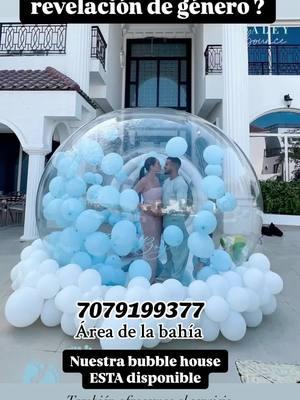 #bubblehouse 