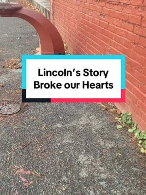 Lincoln’s story broke all our hearts. He has been recovering with me for weeks and is doing much better. He still has food insecurity likely because he was abandoned outside with no way to find food. It’s so heart breaking but over time it will improve. He runs to the food bowl every time he hears a can open and inhales it. He needs a patient furever home will understand that he is still learning to trust his meals are always going to be here. Who wants to be Lincoln’s hero? DM me or apply via our website: www.PuppyKittyNYC.org! #puppykittynycity #savealife #catsofinstagram #catcrisisnyc 