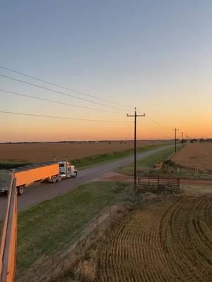 Missin these sunsets  @M1ckey6.0 for the clips 🤙#paplowharvesting #fyp #peterbilt #379 #catc15 #c