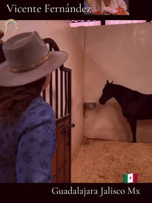 Nieta de Vicente Fernández,cuenta anécdota,#caballos #parati #viraltiktok #mexico #entretenimiento #VicenteFernandez #triste #socialmedia 