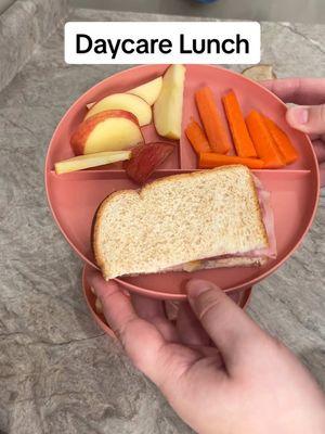 Replying to @goodgoogly5 #mealsforkids #mealsforkids2023 #daycare #inhomedaycare #toddlers #lunchforkids #easylunchideasforkids #easylunchideas