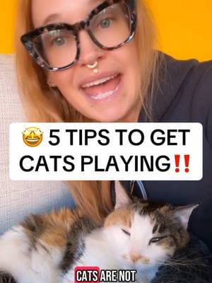 🤩 5 Tips To Get Cats Playing! . . . #cat #catbehavior #catbehaviour #catbehaviorist #certifiedcatbehaviorist #cats #catsofinstagram #behavior #kittybehavior #kitty #behaviour #behaviors #behaviorist #catsareawesome #ilovecats #cattraining #trending #catsoftiktok #cattok #fyp #foryourpage #badcat #badcats #badcatsoftiktok #badcatparent #catsarefunny #catsareweird #fypシ#catsarebetterthandogs #catsarethebest #wildatheartcats #wildatheart #catlover #catlove #catfight #catsfighting #kitten #kittens #kittentok #kittensofinstagram #introducingcats #kittenrescue #catrescue #catcare #play #playtime #catsplaying #cattoy #cattoys 