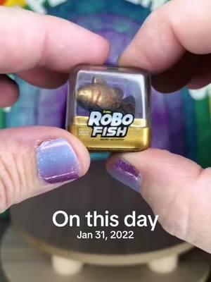 #onthisday #robofish #minibrands #trending #fyp #jenniferopenstoys #belikejennifer 