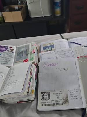 Flip through of all my February bullet journals since 2015. ##shaunanagins #mycrazydayvlog #thankfulthursdays  #bulletjournaling  #februarybulletjournal 