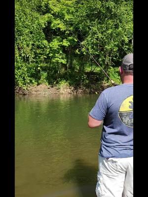 River Bassin'!  Clips from a summer trip!  I'm also a guide.  HMU 😀 #bassfishing #bass #largemouthbass #riverfishing #multispecisangling #multispeciesfishing #ultimatedreamfish #biodiversity #sendit #fishing #shimano #ultralightfishing #ozarks #missouri #ozarkplateau #catchandrelease #catchemall #rad #fishing #fishesoftiktok #fish #fishtok #amazingfish #smallmouthbass #smallmouthbassfishing #fishing #spottedbass #ozarks #summervibes #beautiful #creekfreaks #streamfishing #summervibes #ownerhooks #trilenefishingline #Berkley #wappapellolake #stfrancis #stfrancisriver #enjoylife #fishinglife #fishinglife🐟🎣 #fishinglifestyle 