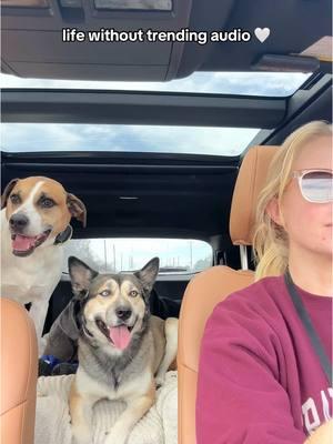 life without trending audio 🤍 #dogmom #lifewithdogs #offleashdogs #naturaldogs #wondercide #mazdacx90 #dogmomcar 