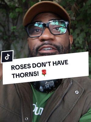 Next time someone tells you roses have thorns, you can give them this prickly fact. Oh, and shout out to Black Jesus. 😏 #ROSES #botany #Plantlover #plantsoftiktok #factoftheday #PlantTok 