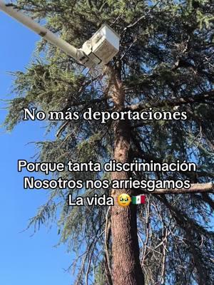 #mexicanos🇲🇽l#nomasdeportaciones  #parati #videoviraltiktok #juntosvamosvencer 